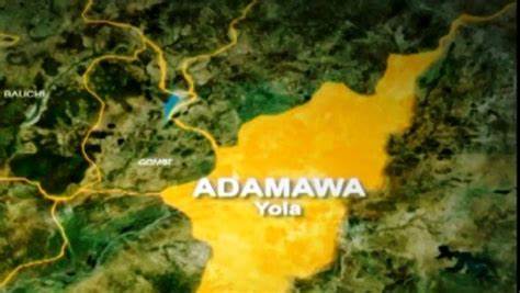 19 children die from measles complications in Adamawa state