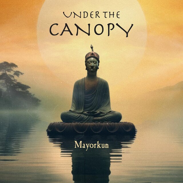 [Music] Mayorkun – Under The Canopy