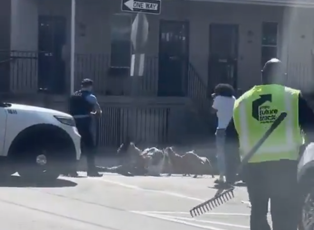 Four pitbull dogs maul man on street in broad daylight after he tried protecting his dog from being attacked (video)